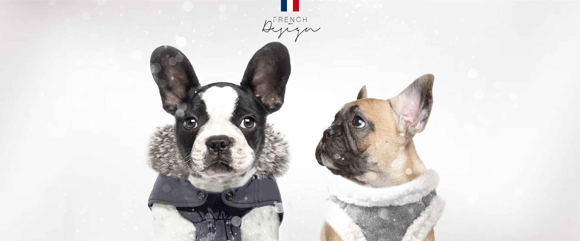 Milk & Pepper, Fashion And Accessories For bulldogs and pugs-  Winter 2023